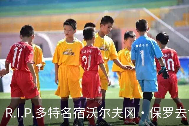 R.I.P.多特名宿沃尔夫冈·保罗去世，俱乐部官方社媒发文悼念